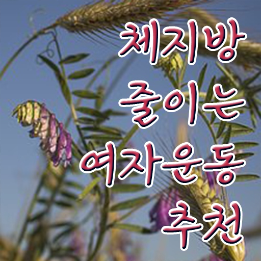  40대 여자 운동 추천 취미 운동 추천 궁금하셨다고요 ?