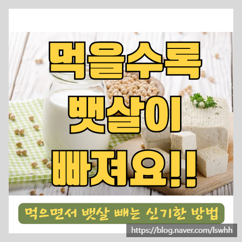 뱃살다이어트로 내장지방 제거하는 법 - 먹으면서 뱃살빼기
