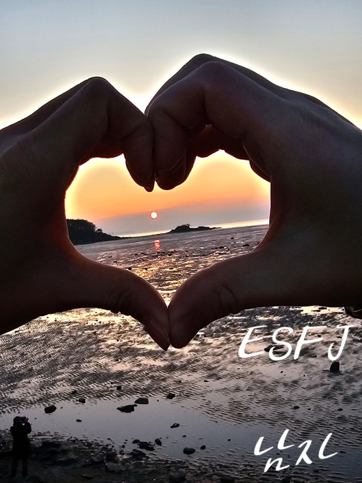  eSfj 남자 특징 연애(꼬시기) 팩폭 엣프제