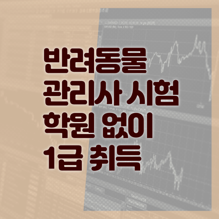  반려동물 관리사 연봉 무료강의 고민이시라고요 !