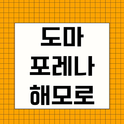 도마 포레나 해모로 신축 아파트 대전 변동 뉴타운 미분양 9구역 한화건설 줍줍 잔여세대 분양가격