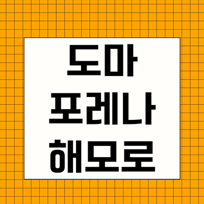  도마 포레나 해모로 신축 아파트 대전 변동 뉴타운 미분양 9구역 한화건설 줍줍 잔여세대 분양가격