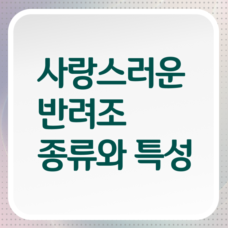반려조관리사 자격증 발급기관 핵심 공개 ? 한국자격검정원