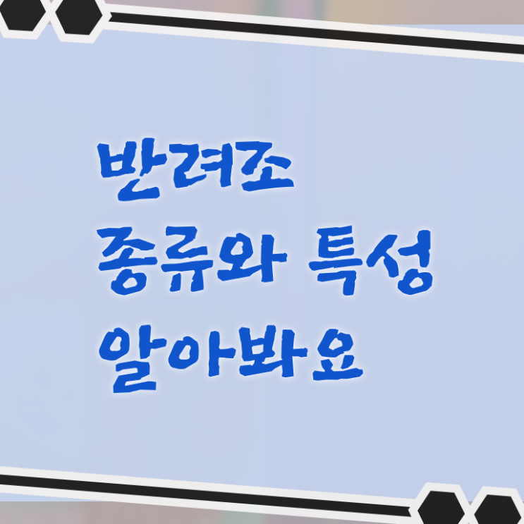  반려조관리사 1급 자격증 빠른 취득 강력추천 . 한국자격검정원