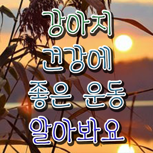  반려견운동지도사 자격증 교육 알려드립니다 !