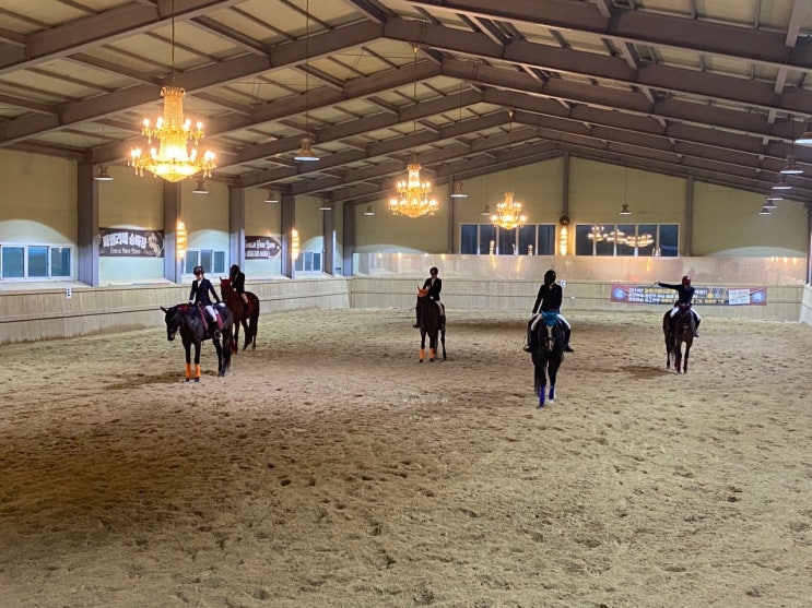  Adult Horse Riding Lessons