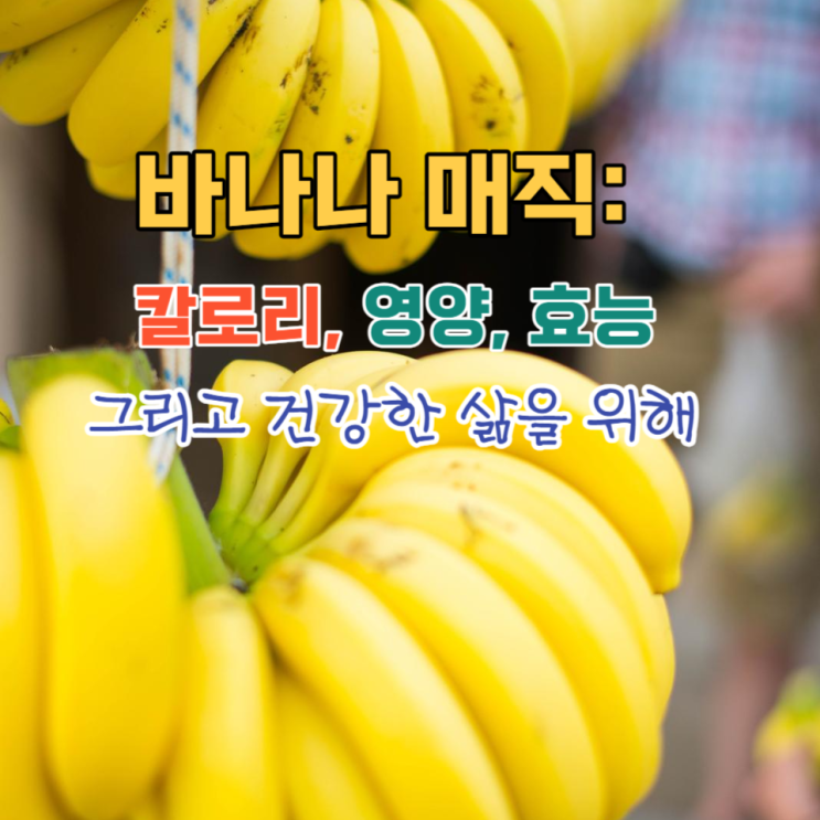  아기와 성인까지/바나나 매직/영양의 완벽한 조화