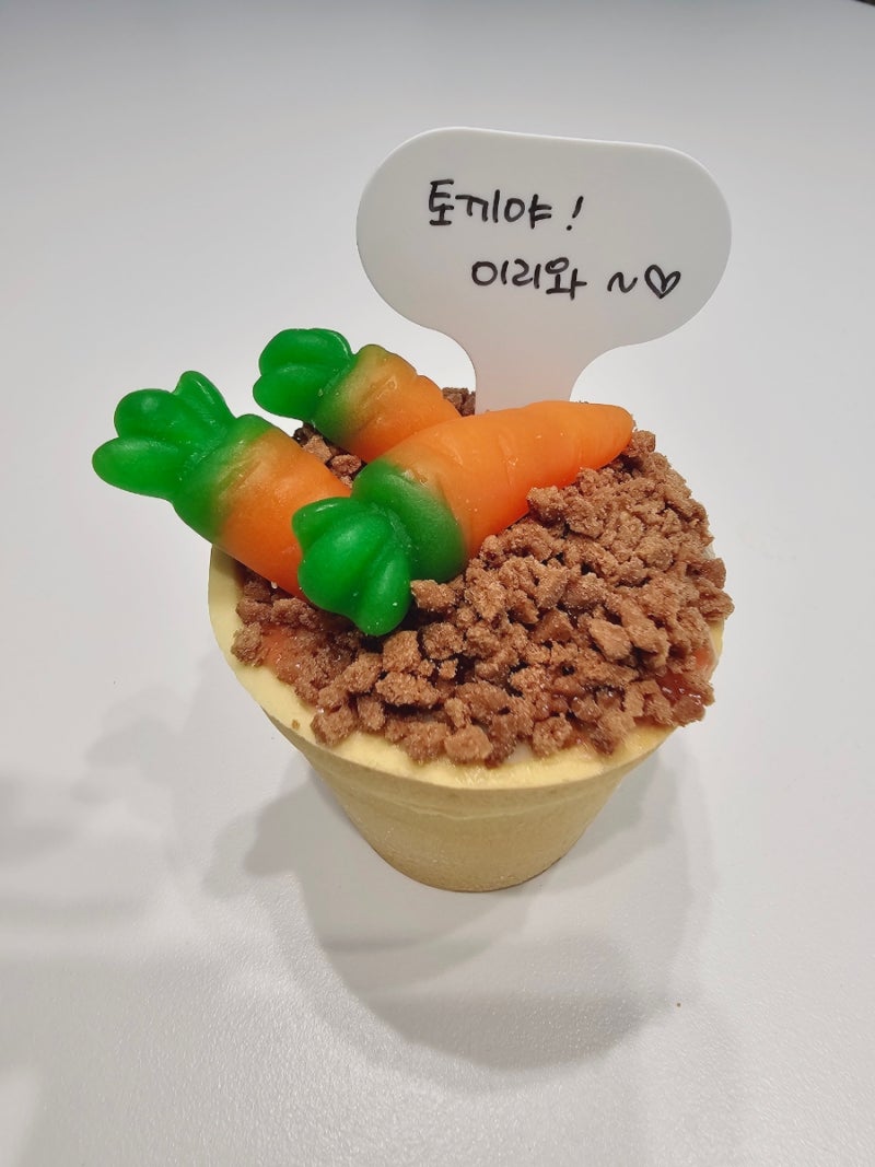홈베이킹 diy 당근 케이크 만들기 키트 내돈내산