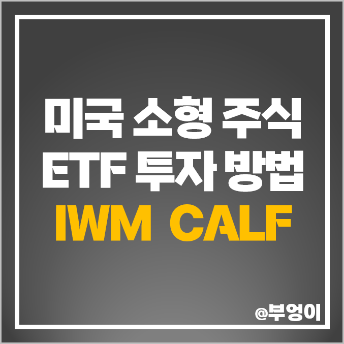 소형 주식 미국 ETF 투자 방법 추천 IWM CALF 주가 배당 소형 주식 미국 ETF 투자 방법 추천 IWM CALF 주가 배당