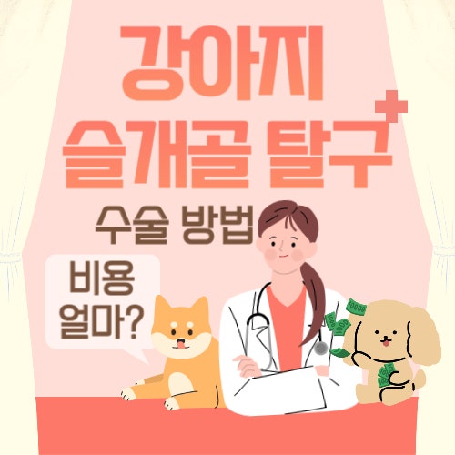  강아지 슬개골 탈구 수술 비용, 단계별 증상, 수술 방법
