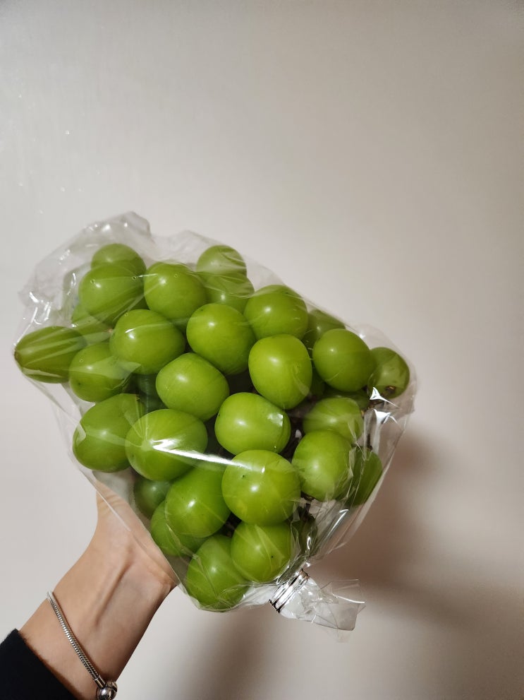  카카오톡 선물하기 온브릭스 경북상주 샤인머스캣 후기!