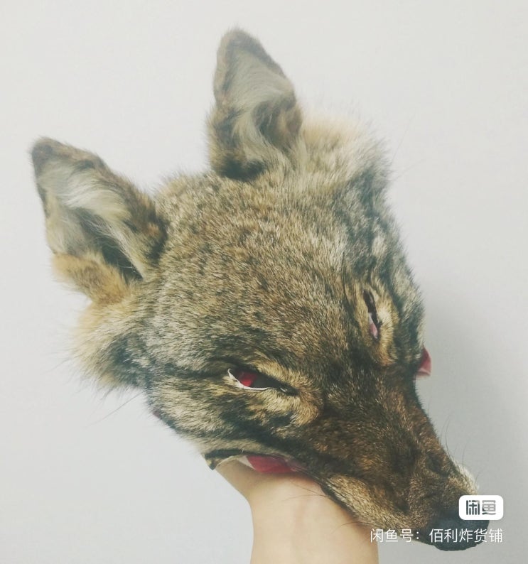  미국에서 중국으로 이걸 수입한다고? 코요테 머리 가죽을??? 뭐에 써?