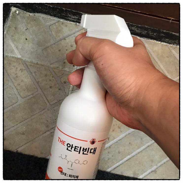  디스테이 안티빈대 하나방역 빈대퇴치제 사용후기