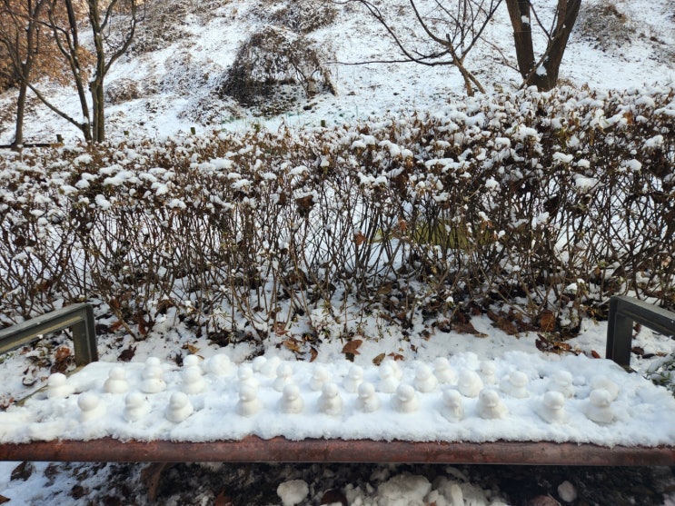 주말 산책~