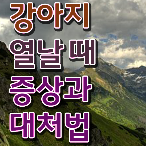  강아지열날때 대처방법 알아보기 !!!