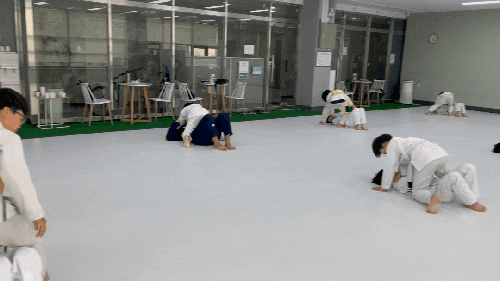 옥련동 키즈 주짓수는 <b>태권도</b>, 합기도, <b>유도</b>와 무엇이 다른가?