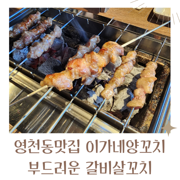  영천동맛집 양꼬치 맛있는곳 이가네양꼬치 동탄4호점