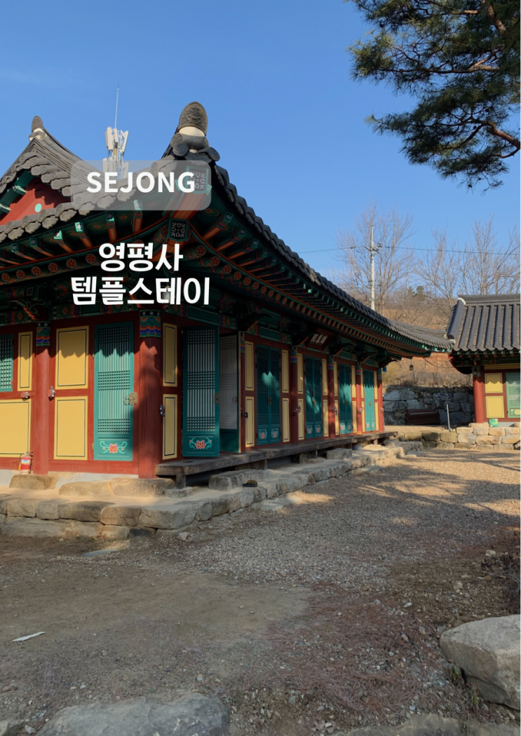  [세종] 영평사 템플스테이, 세종 영평사 1박2일 체험형 후기