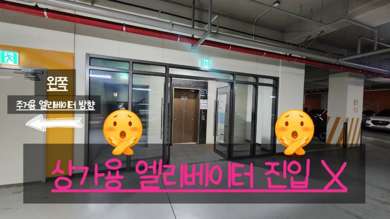지나타로 이미지