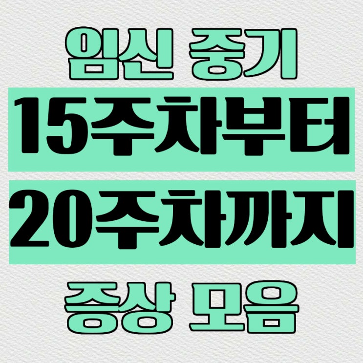  초산모 임신중기 15주 2차 기형아검사, 빈혈, x증후군 검사, 태동, 철분제섭취, 성별반전