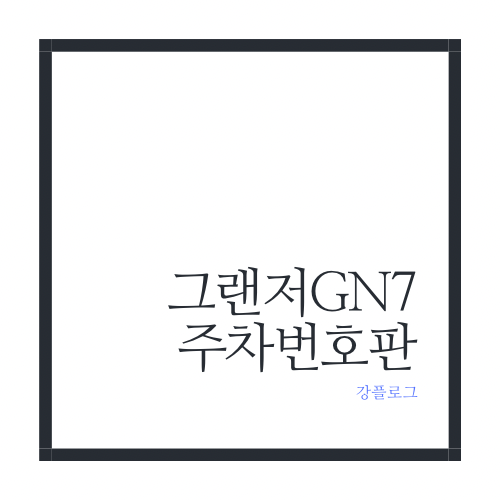  그랜저 GN7 주차번호판내돈내산 솔직 후기