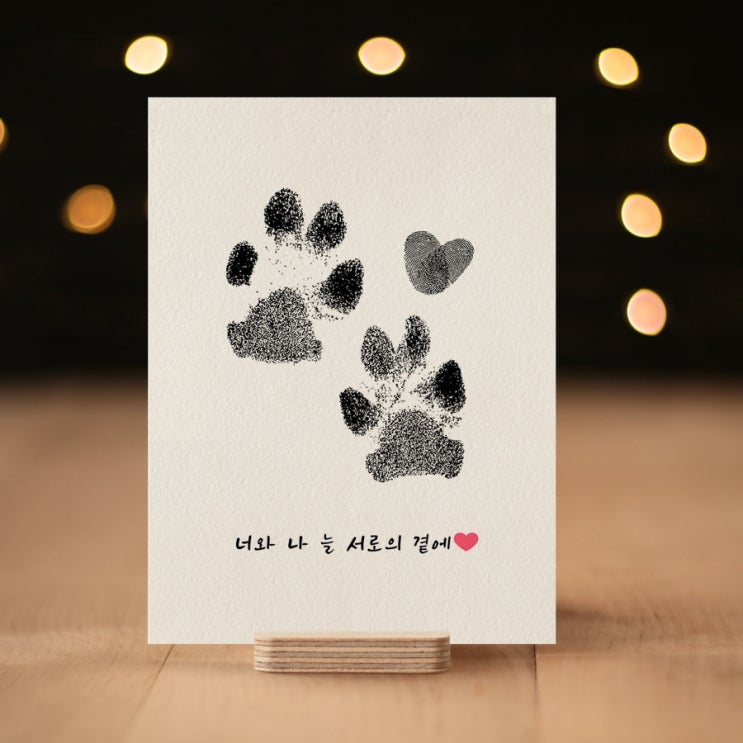  강아지 워시프리 발도장 키트ㅣ이층사진관