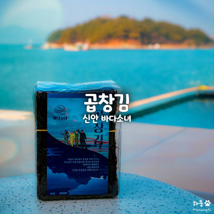  설날 부모님명절선물 추천, 전남 신안섬 자연산 곱창돌김 바다소녀