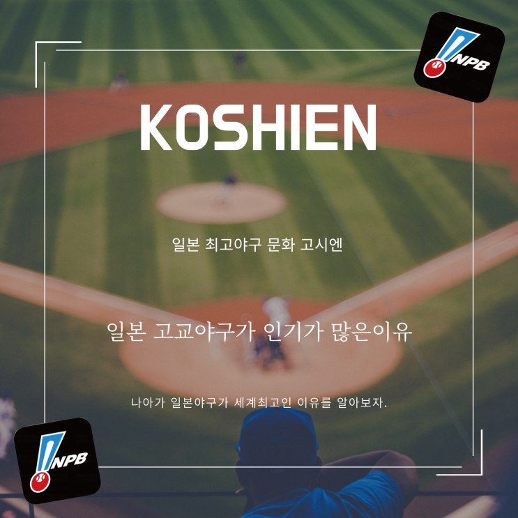  일본 야구 문화 고시엔에 대해서 알아보자.