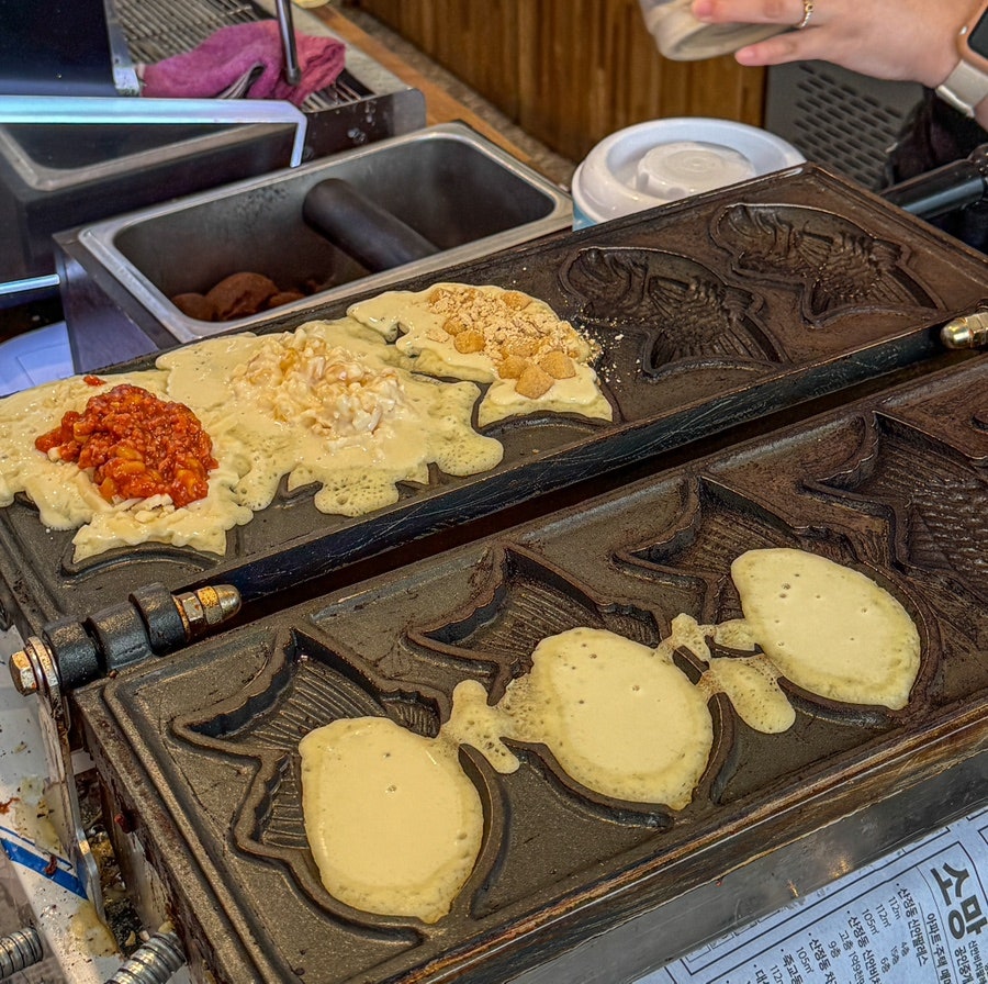 오지파머스커피 사진 6