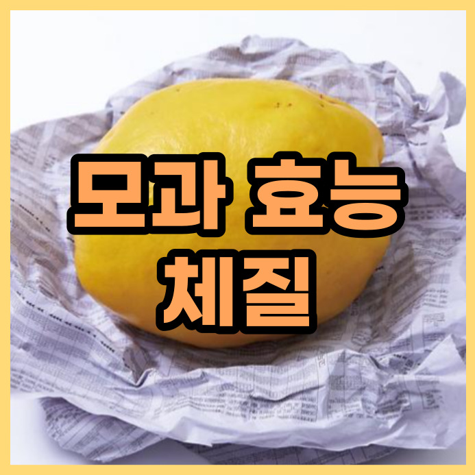  모과의 효능과 잘맞는 체질, 모과차 만들기