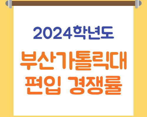 부산가톨릭대 편입 경쟁률(2024학년도) 부산가톨릭대학교(ft.간호학과,물리치료학과 등) 편입....
