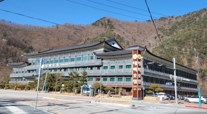 태백 시민은 안 간다는 태백호텔 1박2일 후기, 맛집