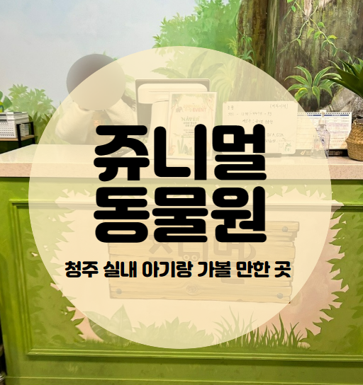  청주 실내 가볼 만한 곳 | 쥬니멀 동물원 (16개월 아기랑, 수유실 위치)