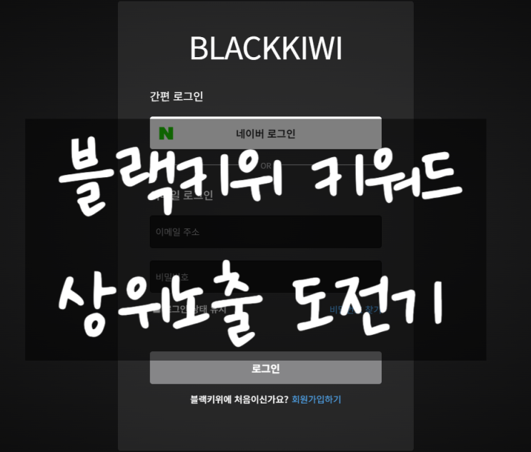  블랙키위 키워드 블로그 상위노출 도전기