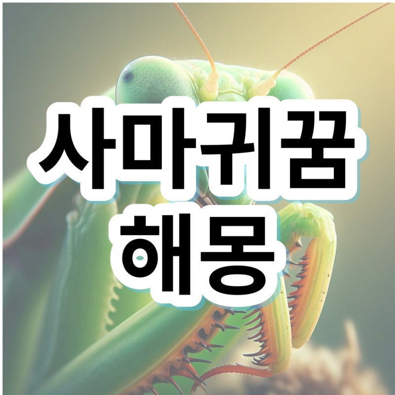 사마귀꿈 사마귀한테 물리는꿈 해몽 의미 알아봐요
