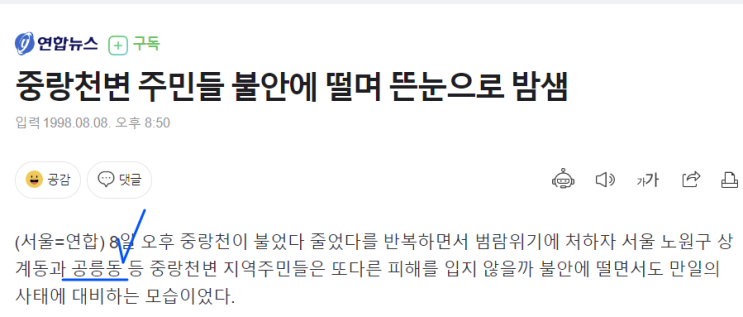 재난에 대한 부동산 정책,  대림동신속통합 VS <b>이태원</b> <b>특별법</b>