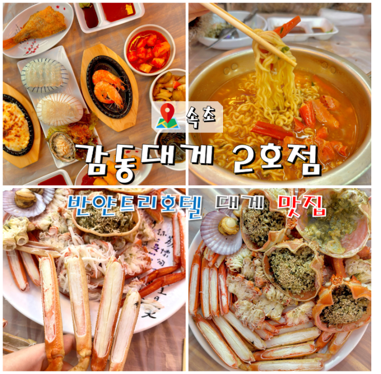  속초 반얀트리호텔 맛집 감동대게 2호점