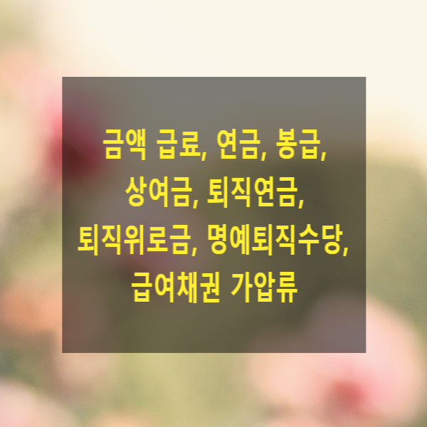  금액 급료, 연금, 봉급, 상여금, 퇴직연금, 퇴직위로금, 명예퇴직수당, 급여채권 가압류