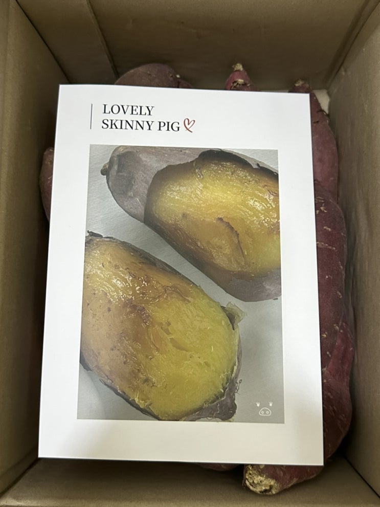  스키니피그 고구마 공구 내돈내산후기 : 도시농장고구마 꿀구마 달구마 존맛 고구마 에어프라이어 레시피 추천