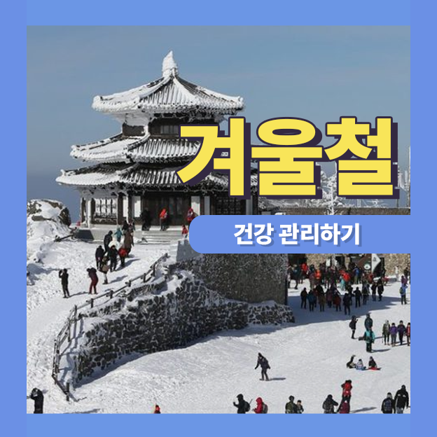  겨울철 건강관리하기 (독감, 겨울철 우울병)