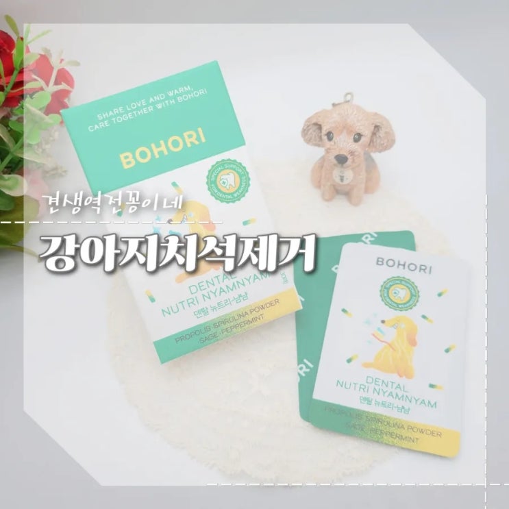  강아지 스케일링 후 입냄새 치석제거 영양제  덴탈뉴트리냠냠 후기