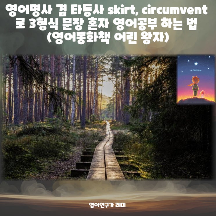 영어명사 겸 타동사 skirt, circumvent 로 3형식 문장 혼자 영어공부 하는 법 (영어동화책 어린 왕자)