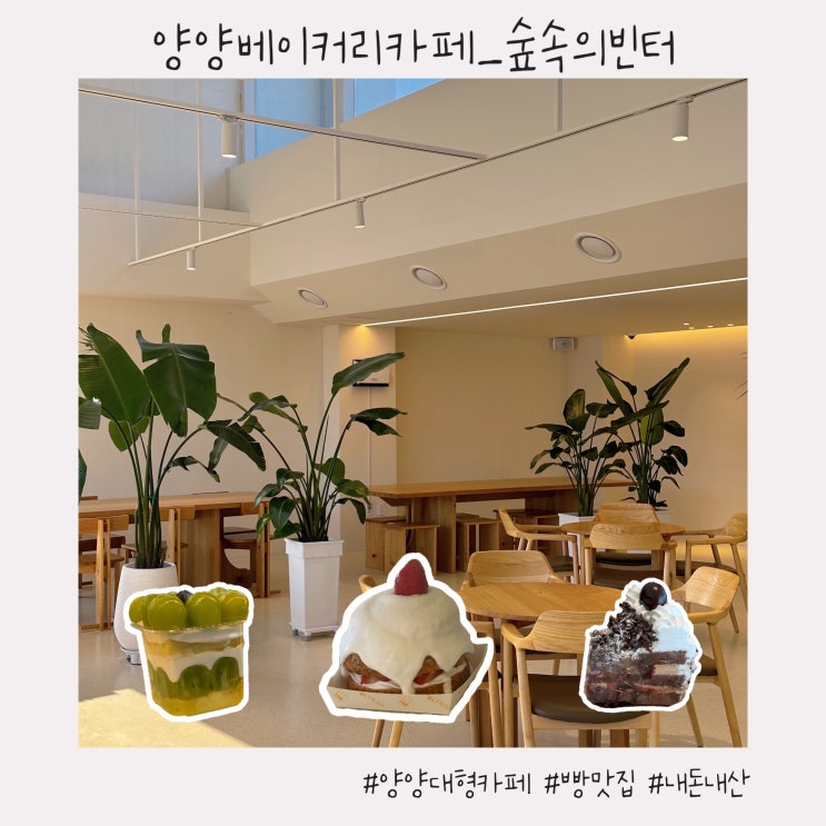  양양 베이커리카페 :: 양양 핫플 인정! 테라스, 루프탑 대형 카페 [숲속의빈터]