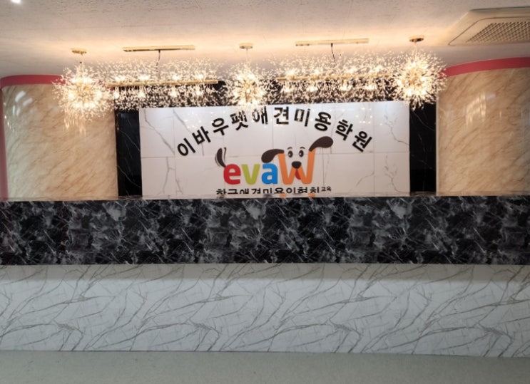  종로애견미용학원 자격증 취득부터 펫 미용 수업까지(가격, 기간, 교육과정, 혜택)