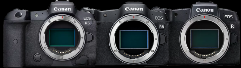 인터넷방송 / 개인방송 DSLR 세팅 카메라 소개 - RP, R8, R5 비교 : 네이버 블로그