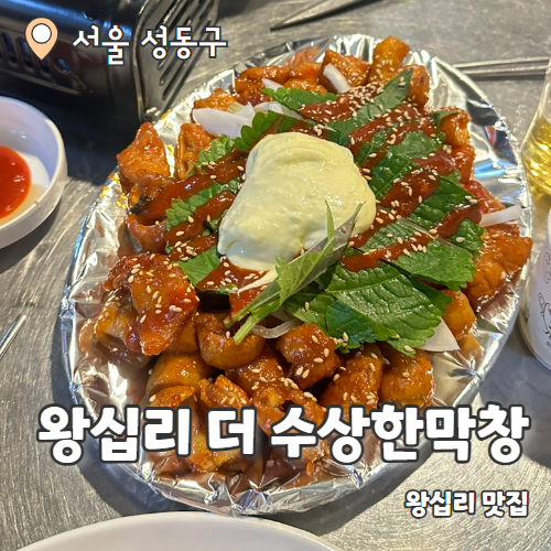  왕십리 더 수상한막창 : 왕십리역 돼지막창맛집 내돈내산 후기