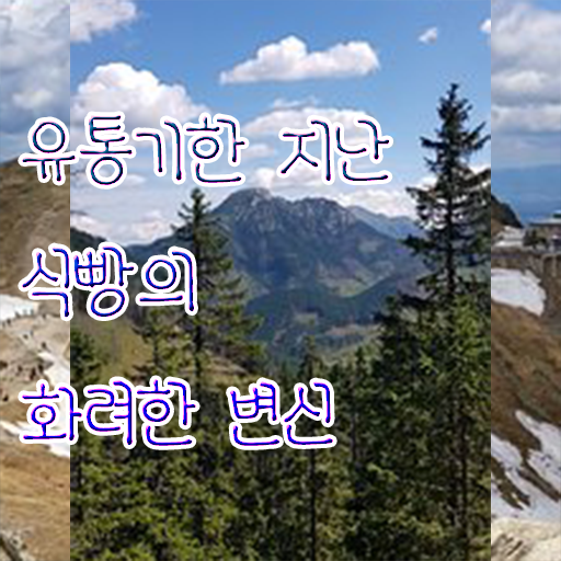 여기부터 보고가세요 ? 유통기한 넘긴 빵 사용법 !