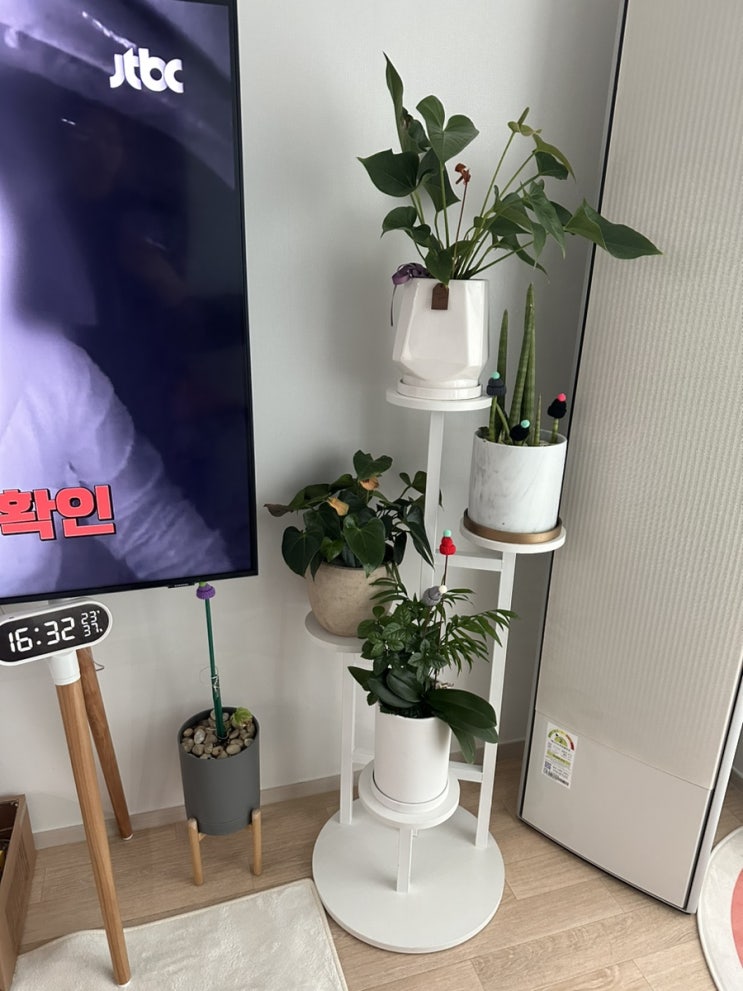  시골집 촌집 인테리어 후 집꾸미기 #5. 월동준비, 김장, 실내 화분 받침대