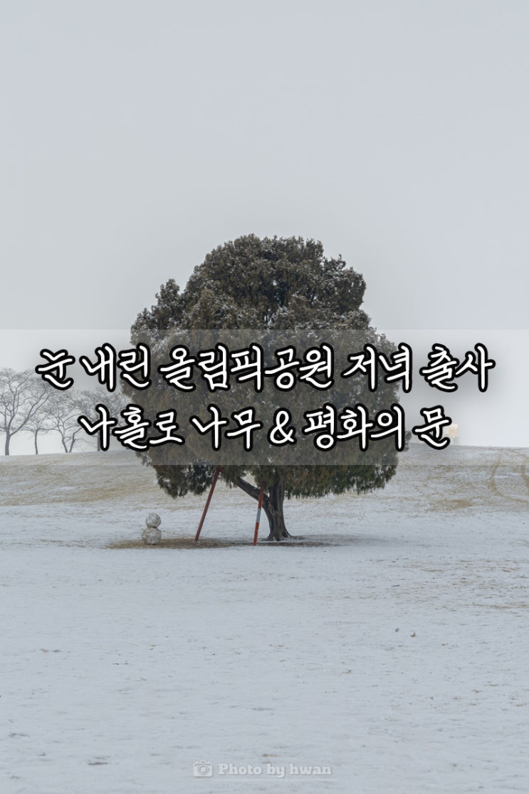 [올림픽공원] 눈 내린 날 저녁 출사 "나홀로나무" & "평화의문"