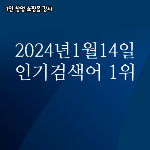 2024년 1월 14일 네이버쇼핑 분야별 인기 검색어 1위